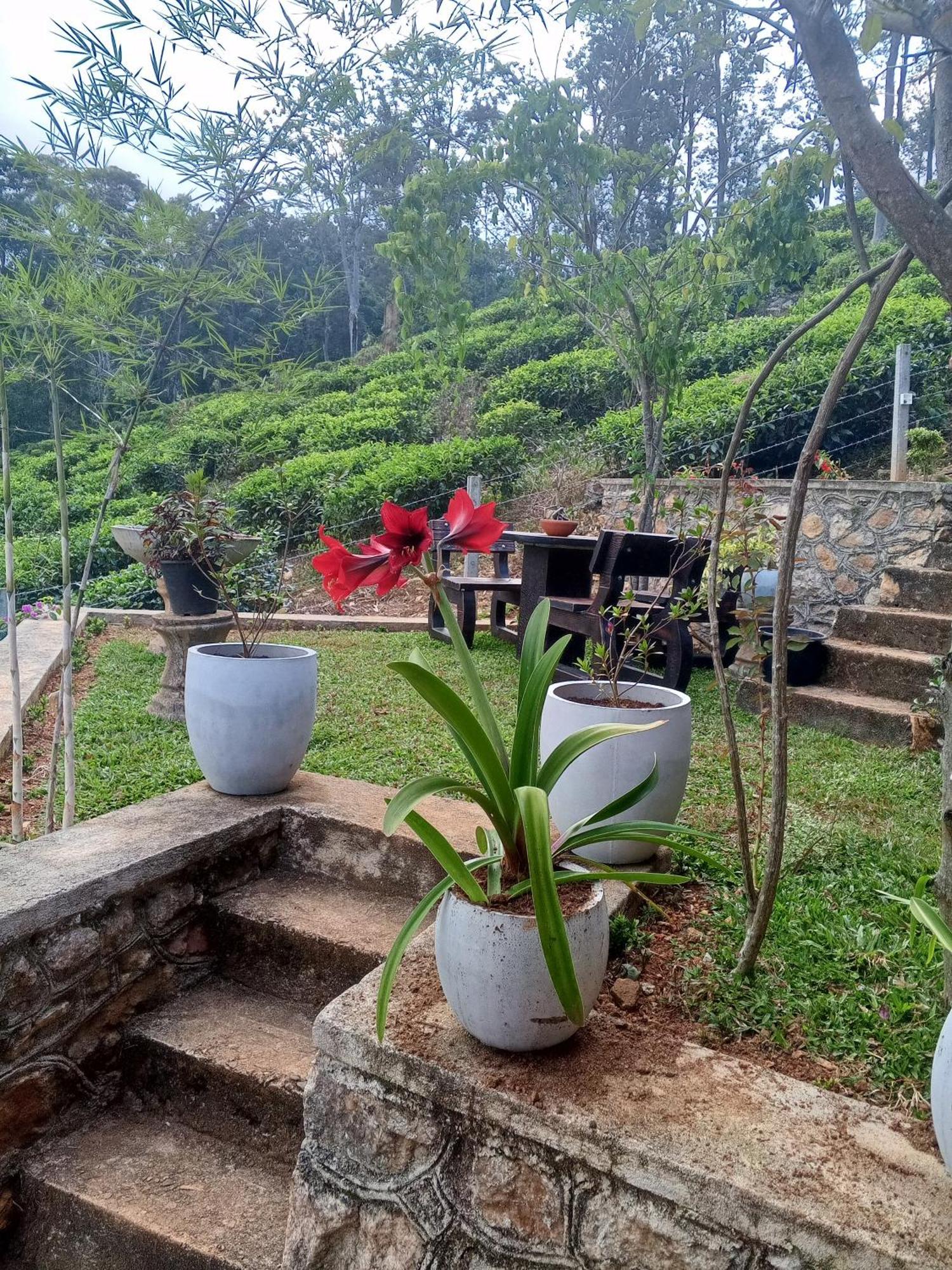 H3 Hilltop Heaven Ella Exterior foto